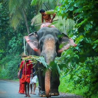 Holiday Gateway to Kerala