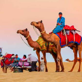 Rajasthan Camel Safari