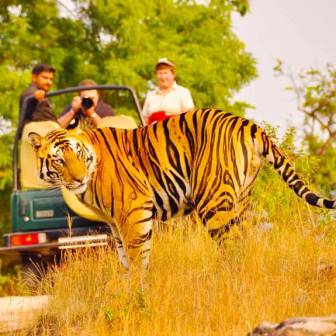 Rajasthan Wildlife Tour