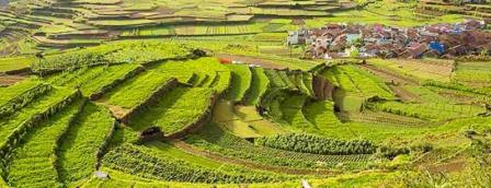 6 Nights Kazirange Safari Tour