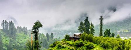 shimla tour packages11