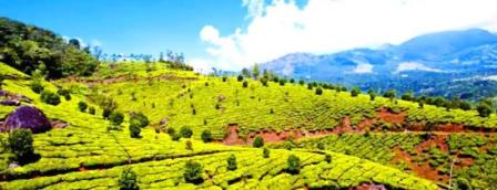 Kerala Holidays7